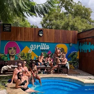 Gorilla , Mendoza Argentinië
